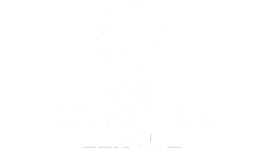 Champions League Stream IPTV Germany